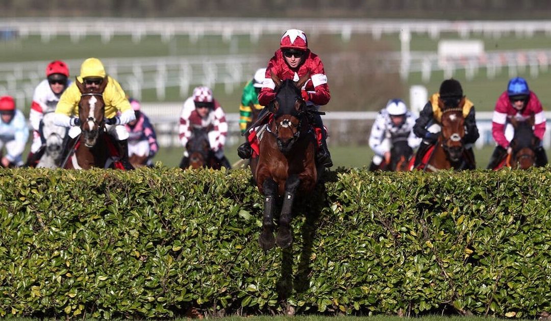 Cheltenham Festival tips for day three, Thursday