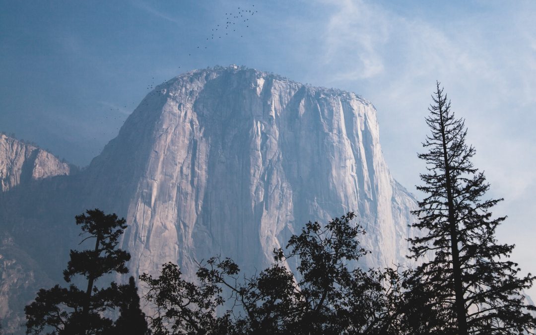 How to Take a Day Trip to Yosemite Valley