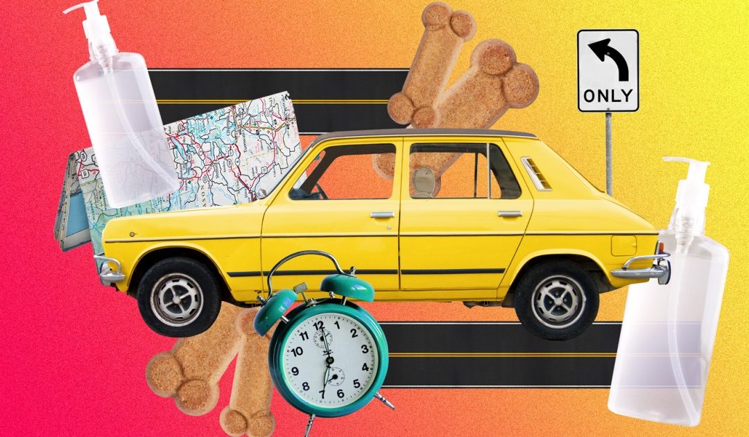 Travel tips for spring and summer road trips amid COVID