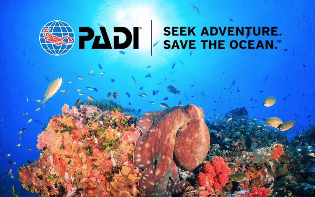 PADI Launches New Dive Guide Series