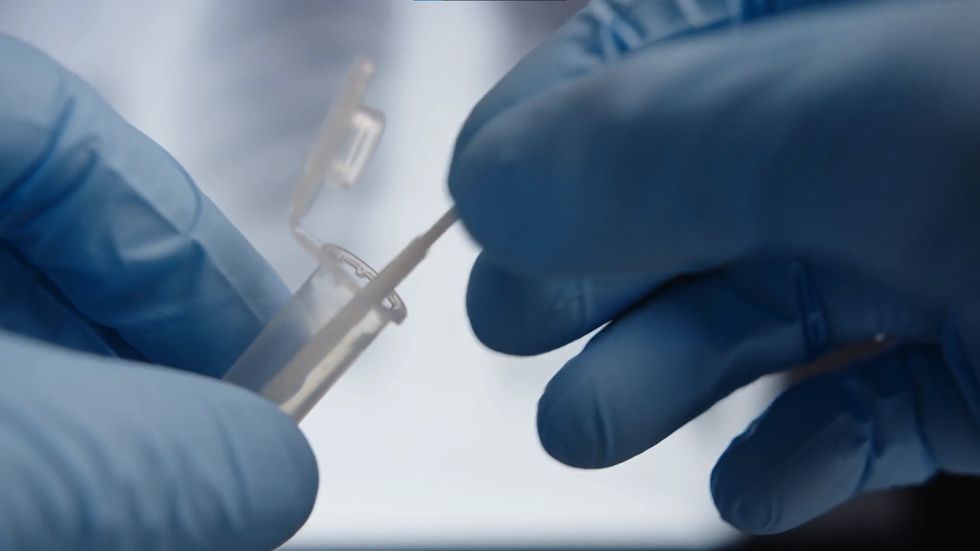 Whitmer, MDHHS encourage spring break travelers to get tested for COVID-19