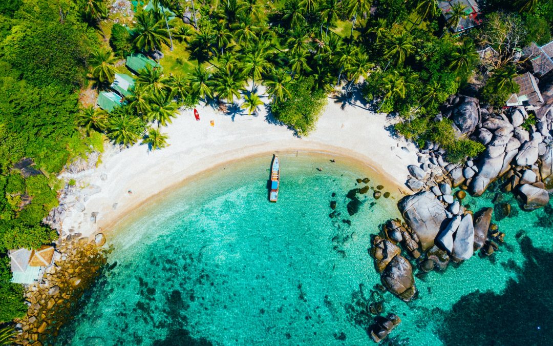 Top Koh Tao Diving Sites