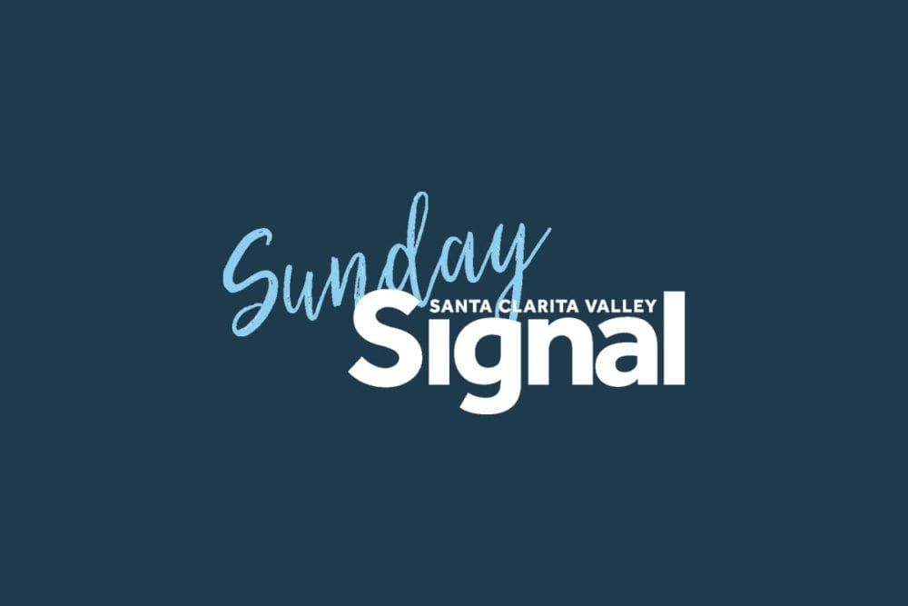 Tips for moving pets across town or across the country