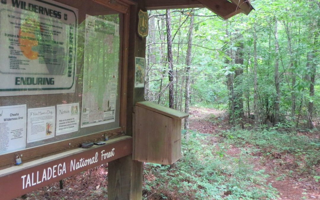 7 Tips For Your First National Forest Adventure