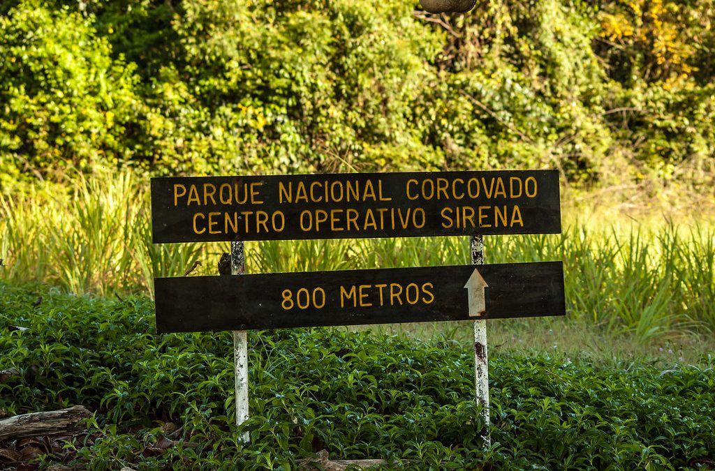 Corcovado National Park Hike: A Jungle Hike for the Whole Family
