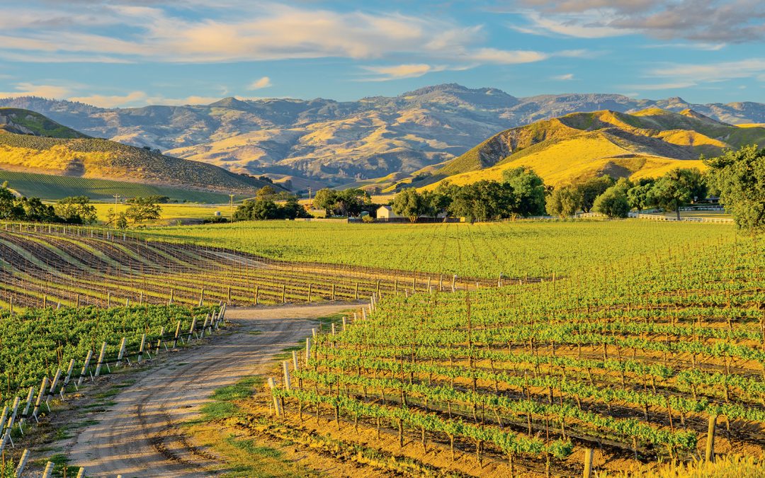 15 Destinations That Leave From Denver International Airport
