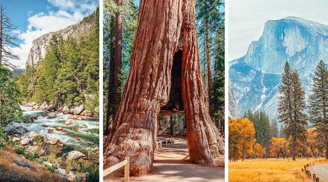 14 Epic Things to do in Yosemite National Park, California