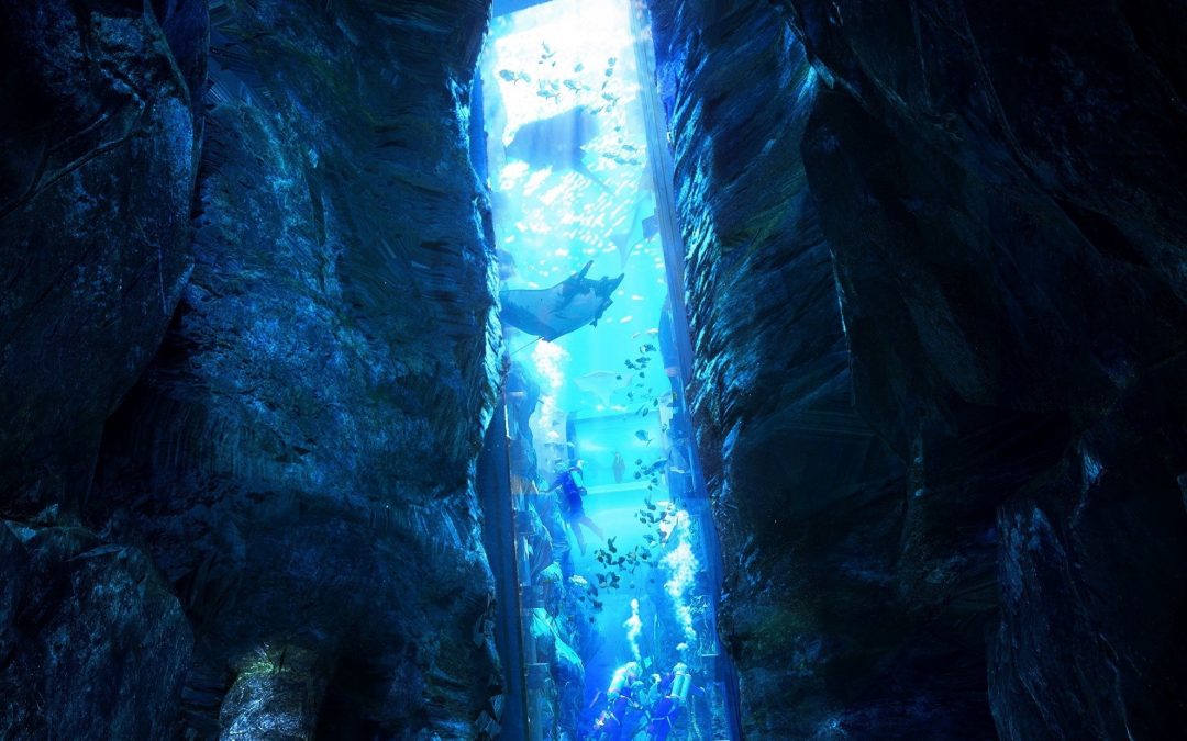 SeaWorld Abu Dhabi To Have World’s Largest Aquarium