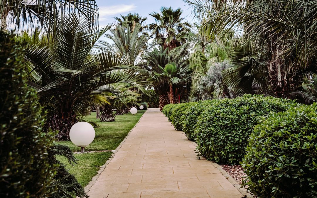 Best Spa Hotels & Wellness Retreats in Florida