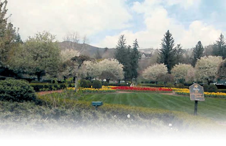 Brightening Wintertime Blues | News, Sports, Jobs – The Inter-Mountain