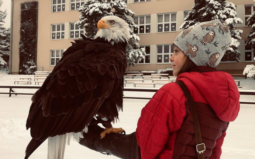 Watch the videos made by two Slovak eagles Zoom and Nixon