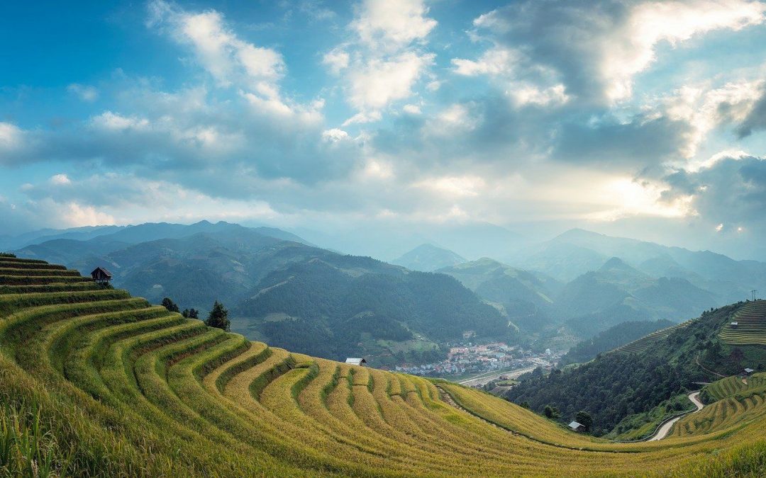 Where to Stay in Bali: Our Bali Accommodation Guide