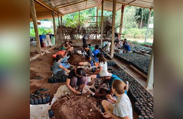 Going off-grid- The New Indian Express