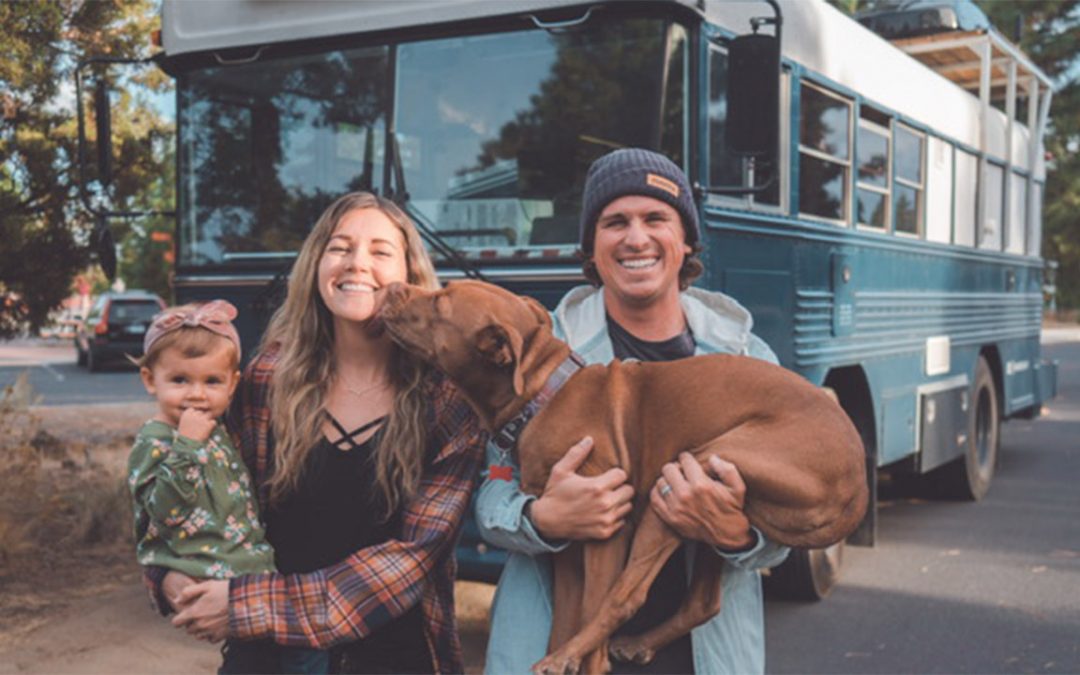 Tips for road tripping with dogs, from people who live in a van year-round