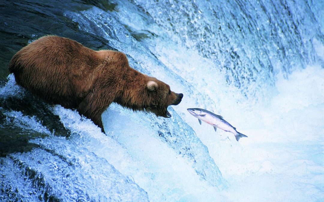 The World’s Best Fishing Trips