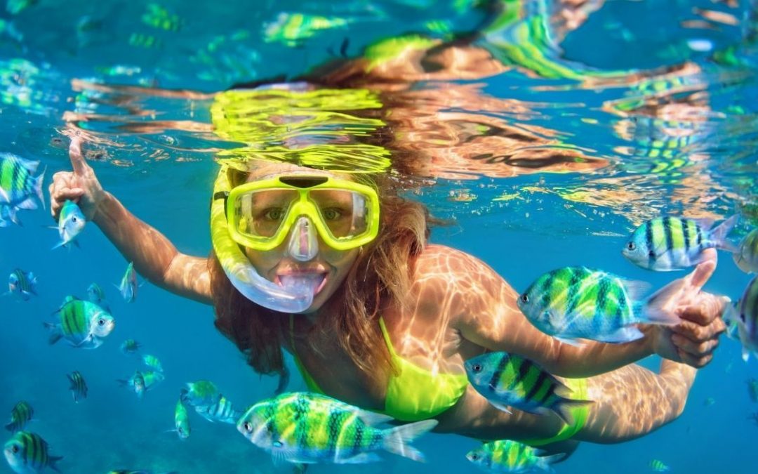 Tips To Remember & What Not To Do